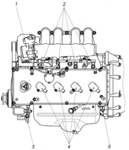 Причины продолжительного периода запуска двигателя ЗМЗ-40524.