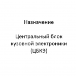 Назначение. ЦБКЭ – назначение, функции, диагностика.