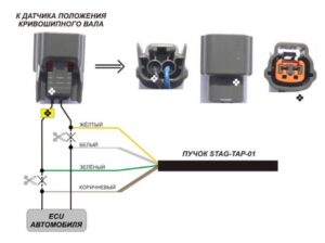 STAG-TAP-01/ 02 – процессор угла опережения зажигания. Инструкция по подключению и программированию.