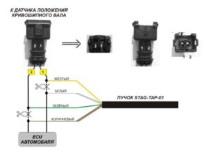 STAG-TAP-01/ 02 – процессор угла опережения зажигания. Инструкция по подключению и программированию.