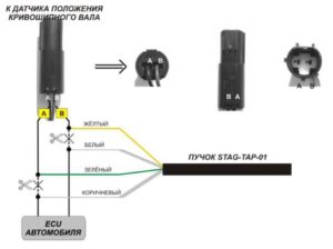 STAG-TAP-01/ 02 – процессор угла опережения зажигания. Инструкция по подключению и программированию.
