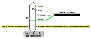 STAG-TAP-01/ 02 – процессор угла опережения зажигания. Инструкция по подключению и программированию.