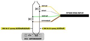 STAG-TAP-01/ 02 – процессор угла опережения зажигания. Инструкция по подключению и программированию.