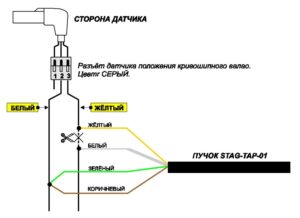 STAG-TAP-01/ 02 – процессор угла опережения зажигания. Инструкция по подключению и программированию.