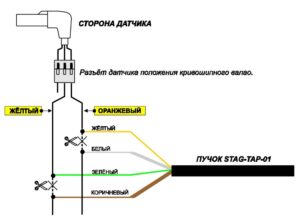 STAG-TAP-01/ 02 – процессор угла опережения зажигания. Инструкция по подключению и программированию.