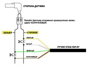 STAG-TAP-01/ 02 – процессор угла опережения зажигания. Инструкция по подключению и программированию.
