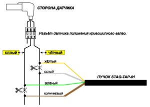 STAG-TAP-01/ 02 – процессор угла опережения зажигания. Инструкция по подключению и программированию.