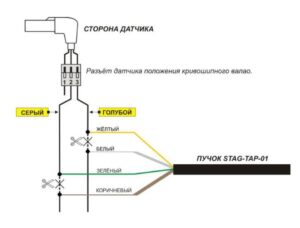 STAG-TAP-01/ 02 – процессор угла опережения зажигания. Инструкция по подключению и программированию.